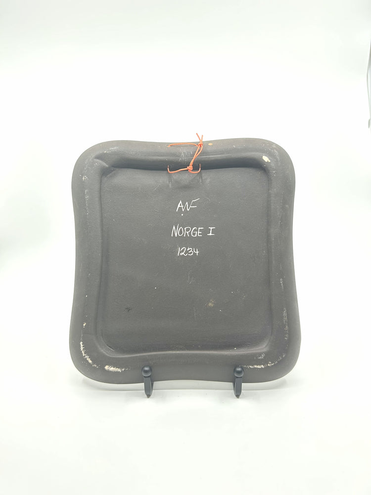 Rückseite der AWF Wandplatte, mit weißer Beschriftung „AWF Norge I 1234“ sowie Aufhängevorrichtung.