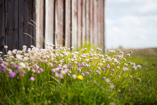 Hygge im Design: Skandinavische Natur