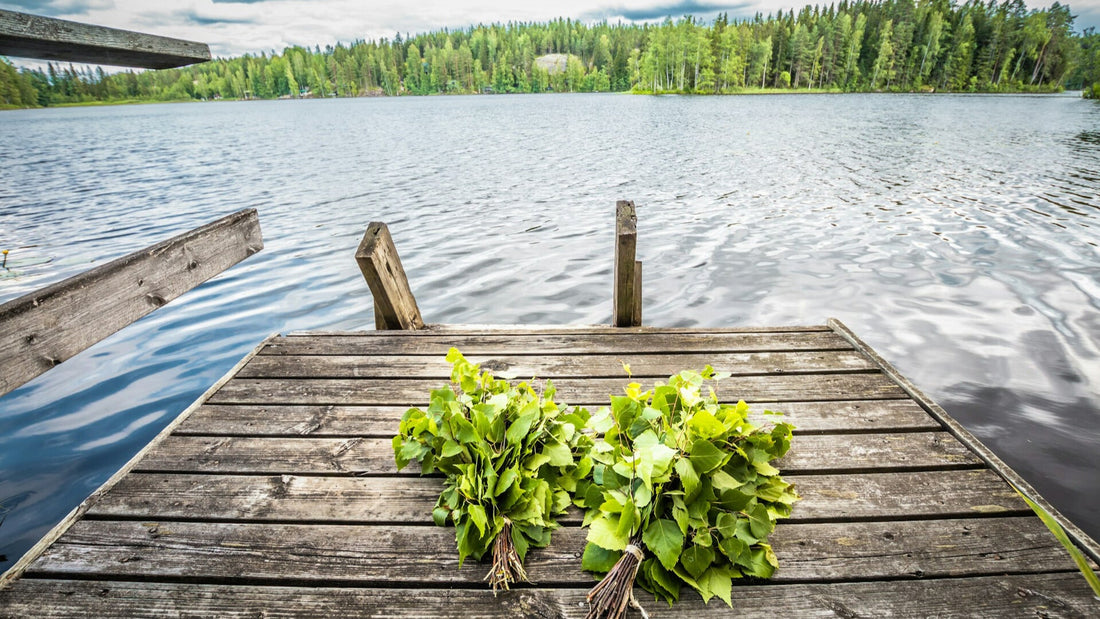 Frische Birkenquasten für die Sauna am stillen See in Skandinavien