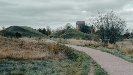 Weg in Uppsala Schweden im Spätherbst