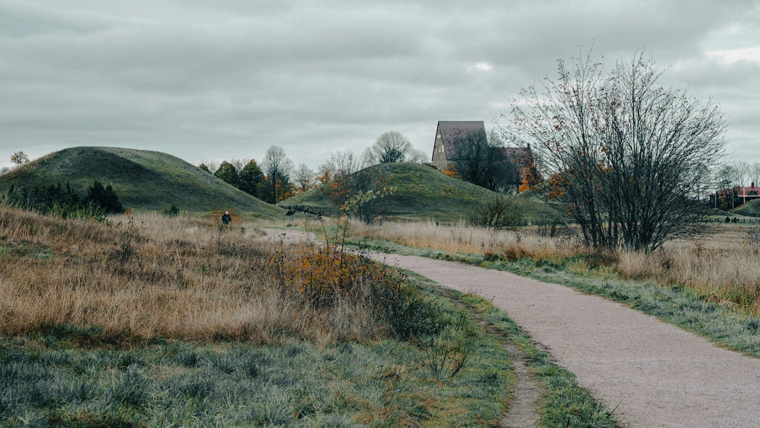 Weg in Uppsala Schweden im Spätherbst