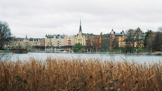 Blick auf die Altbau-Fassaden von Stockholm, Schweden, mit Wasserfront und Schilf im Vordergrund