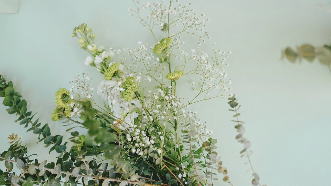 Zarte weiße Blüten und Eukalyptuszweige vor hellgrünem Hintergrund