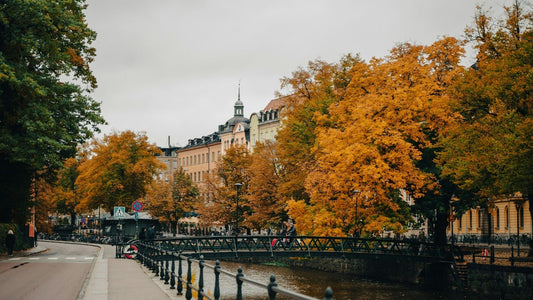 Uppsala Sweden Altstadt m Herbst