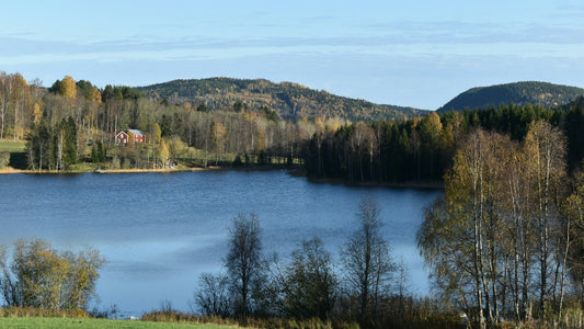 Bild von einem See in Schweden im Wald, im Hintergund ist ein rotes Haus am Rand des Sees 