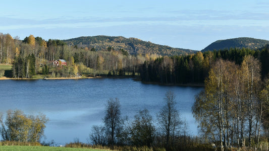 Bild von einem See in Schweden im Wald, im Hintergund ist ein rotes Haus am Rand des Sees 