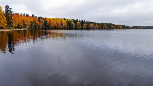 Herbststimmung am See in Nordschweden